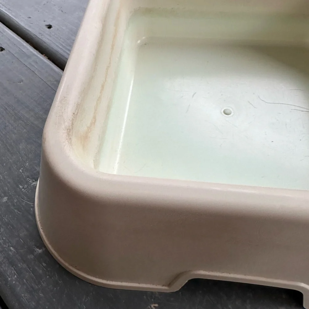 Beige dog bowl- water/food!